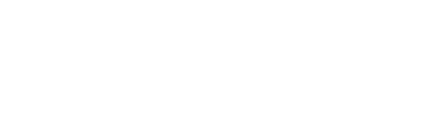 Seldish
